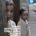 Towards Understanding Female Genital Cutting in Indonesia: A Field Study of Three Communities