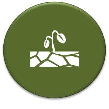 Icon for the Evidence Working Group hub